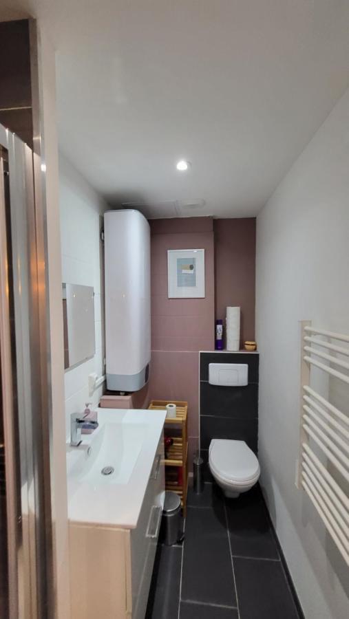 Escapade A Lourdes Dans Beau T2 Avec Terrasse - Proche Gare Et Centre Ville Ngoại thất bức ảnh